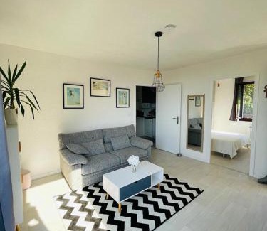 Evian-les-Bains Apartment | F2 près débarcadère, en centre ville, des thermes EVIAN LES BAINS 2 étoiles