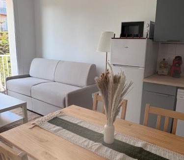 Plage d'Argeles Apartment | F2 - Vue mer - Plage centre