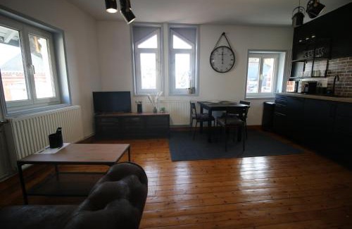 Le Cateau-Cambresis Apartment | Face à Matisse