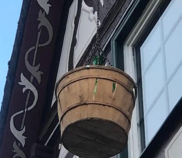 Mainz-Bingen House | Fachwerkhaus Kürbis Bacharach