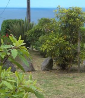 Horta House | Faial Cottage