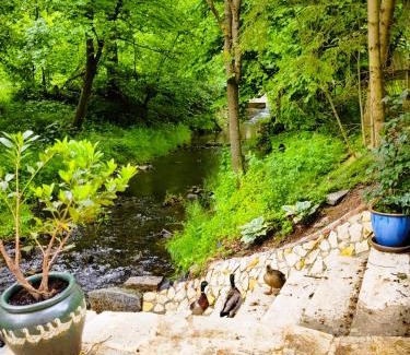 Brezova-Olesko House | fairy tale cottage on water stream, 30 minutes from South Prague