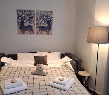 Kopaonik Apartment | Falling Star Apartman Brzece