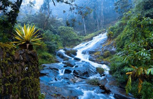 Devikolam Hotel | Falling Waters Munnar