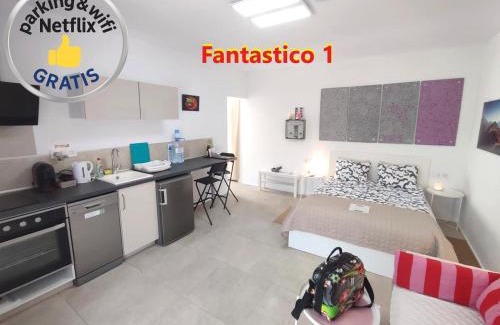 Puerto de la Cruz Apartment | Fantastico Apartments Terrasse Balkon Klima Küche Gratis Parkplatz BBQ Puerto de la Cruz
