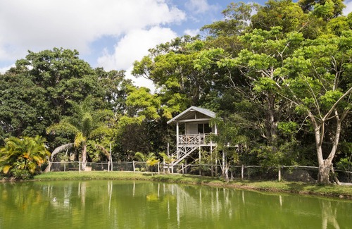 Farino Cabin | Farino Lodge
