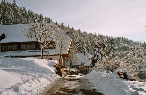 Schiltach Apartment | Farm animals in the Black Forest, 4 star wellness Non smoking apartment