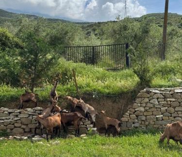 Albania House | Farm River and Kanoe