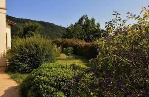 Vallebona Apartment | Farmhouse Antico Principato di Seborga - Three-room apartment