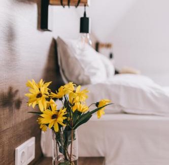 Nemesgulacs House | FATA Birtok