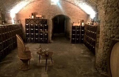 San Donato a Livizzano Other | Fattoria Poggio Capponi