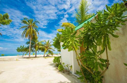 Maafushi House | Faza View Inn, Maafushi
