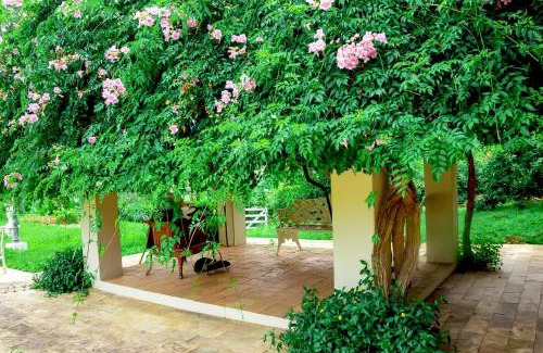 Monte Siao House | Fazendinha Nossa Senhora da Medalha Milagrosa