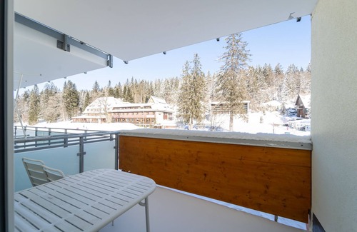Feldberg House | Feldberg Lodge Ferienwohnung: Skilift, Tiefgarage, Whirlpool, Skischrank, uvm