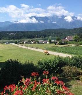 Obersammelsdorf Apartment | Ferienwohnungen Starmuz