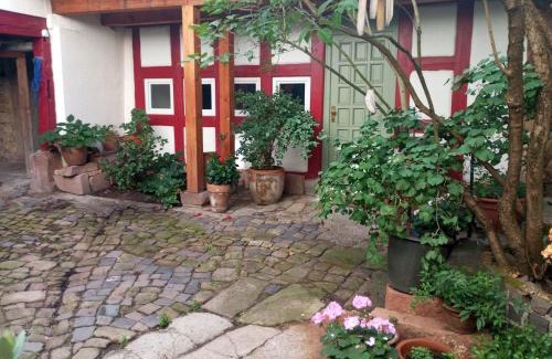 Neustadt-Hambach Apartment | Ferienwohnung Unterm Schloß