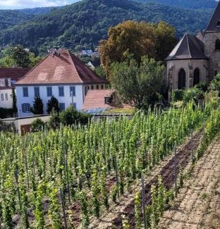 Gimmeldingen Apartment | Ferienwohnung Freiraum