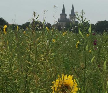 Xanten House | Ferienhaus Am Dombogen - BARRIEREFREI - 2 Schlafzimmer ab 3 Personen