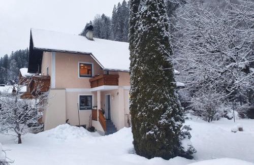 Pfarrwerfen Apartment | Ferienhaus am Fritzbach