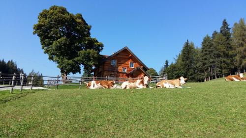 Pruggern House | Ferienhaus Bichlhütte