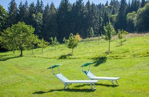 Hinterzarten Apartment | Ferienhaus Esche