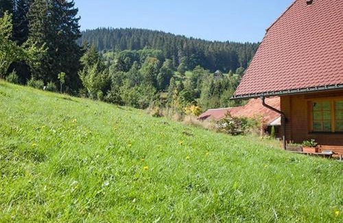 Hinterzarten Apartment | Ferienhaus Esche