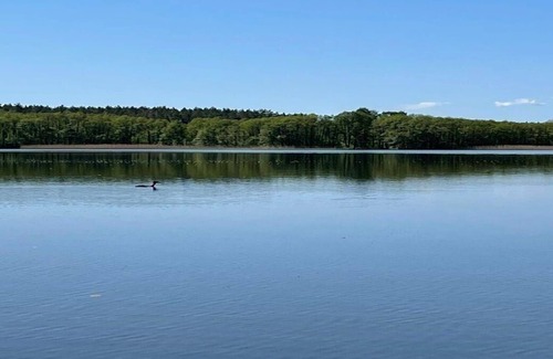 Dabel House | Ferienhaus für 2 Gäste mit 60m² in Holzendorf