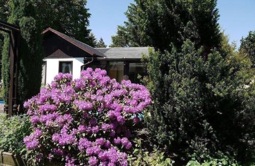 Mueglitztal House | Ferienhaus In Maxen Mit Privatem Pool