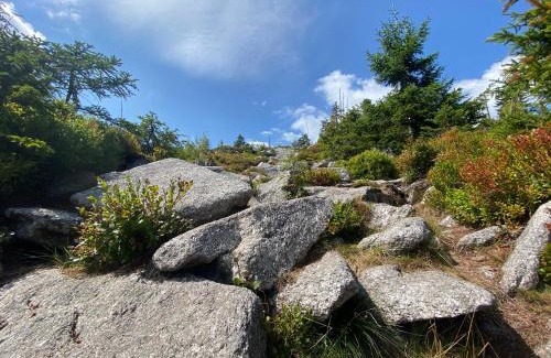 Klaffer am Hochficht House | Ferienhaus Lebenskraft