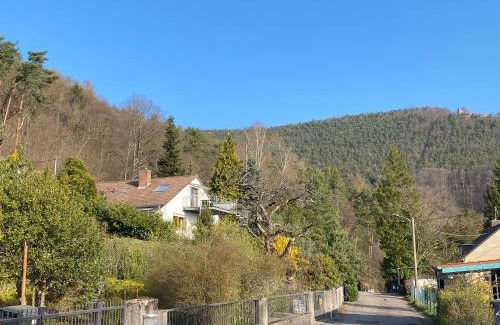 Weyher in der Pfalz Apartment | Ferienhaus Pfälzer Wald Weyher