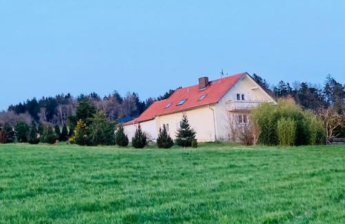Traitsching Apartment | Ferienhaus Ruhe Oase im Bayerischen Wald