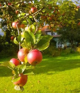Gremersdorf-Buchholz Apartment | Ferienhaus Salvia