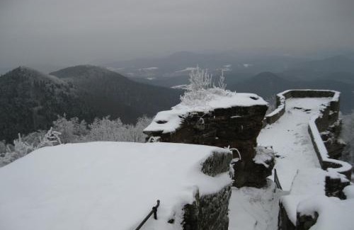 Oberdorla Apartment | Ferienhaus Wasgaublick