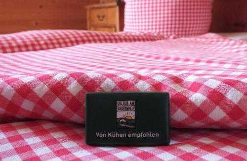 Neumarkt in Steiermark House | Ferienhaus "Zur alten Schmiede"