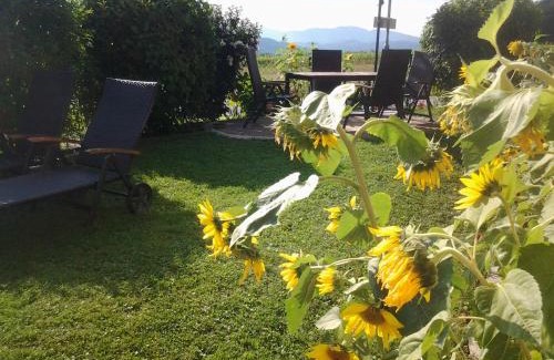 Puchegg Apartment | Ferienwohnung-Hajek