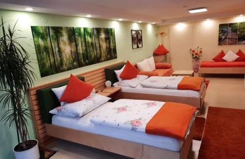 Puchegg Apartment | Ferienwohnung-Hajek