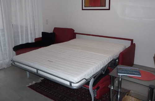 Rheinfelden Apartment | Ferienwohnung, 69 qm, 1 Schlafzimmer, 1 Wohn-/schlafzimmer, Max. 4 Personen