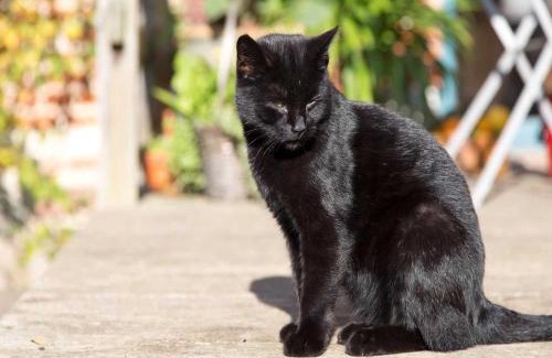 Lelkendorf Apartment | Ferienwohnung ALTER SPEICHER