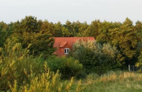 Tetenbull Apartment | Ferienwohnung Altneukoog