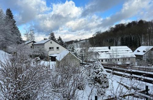Meschede Apartment | Ferienwohnung am Wald mit Garten & Hot-Tub & Alpakas