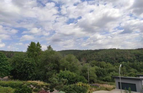 Weiskirchen Apartment | Ferienwohnung am Zweitälerweg