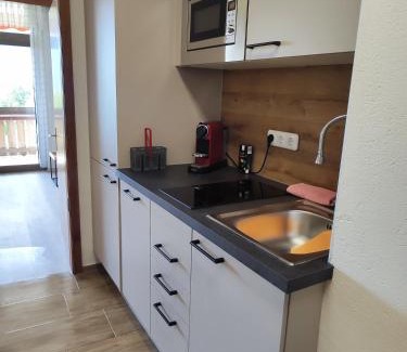 Aigen im Ennstal Apartment | Ferienwohnung - Apartment Pichlarn Holiday Grimmingblick