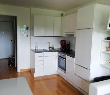 Velden am Worther See Apartment | Ferienwohnung Blick am Mittagskogel