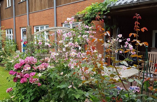 Mittelangeln Apartment | Ferienwohnung auf dem Trakehner Hof