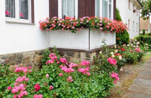 Leubnitz-Neuostra Apartment | Ferienwohnung Baade
