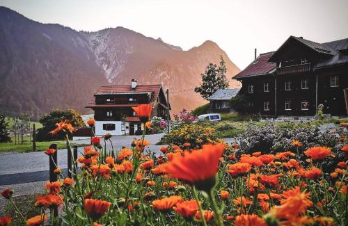 Dalaas Apartment | Ferienwohnung Becker