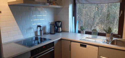 Hahnenklee Apartment | Ferienwohnungen Haus am Karpfenteich