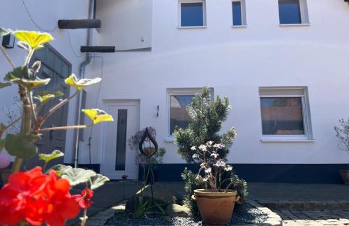 Oranienbaum Apartment | Ferienwohnung am Schloßgarten