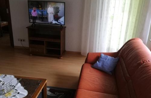 Uehlingen-Birkendorf Apartment | Ferienwohnung Josefa Ganter 80qm