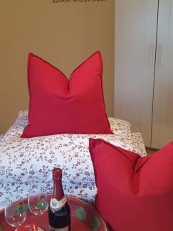 Wiemeringhausen Apartment | Ferienwohnung Greetje